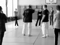 20160409_0176 N2.jpg