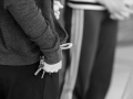 20160416_0313 N2.jpg